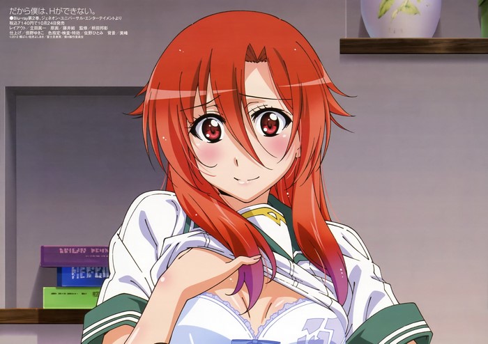 Dakara Boku wa H ga Dekinai