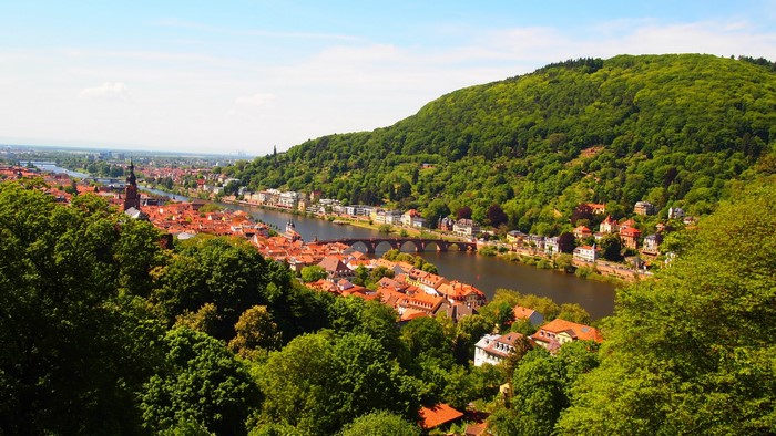 Heidelberg, Germany cityscape with river and forested hill