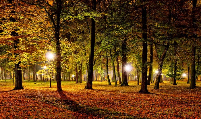 Autumn park at night with streetlights