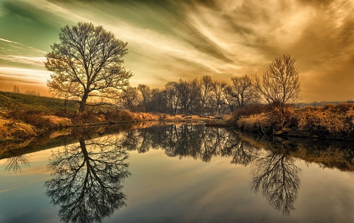 Trees reflecting in a lake under a cloudy sky in Nowa Sol, Poland