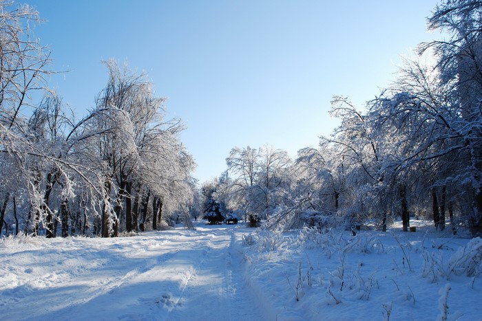 Snowy road through a winter forest with ice-covered trees