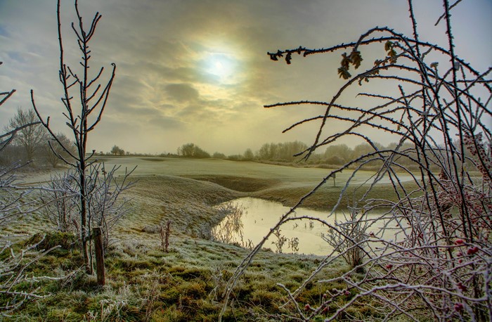 Winter landscape with frost and a pond