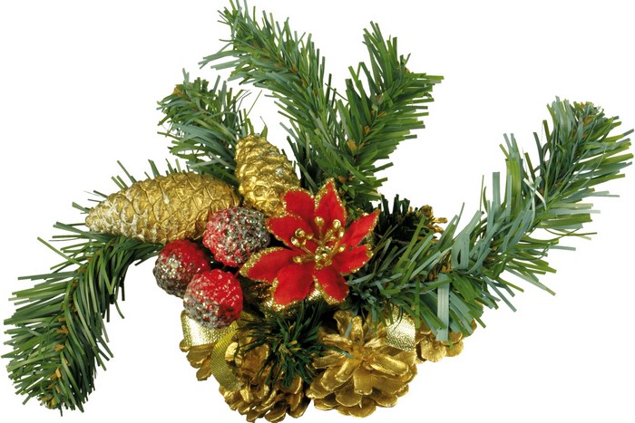 Christmas decoration with pine cones and poinsettia