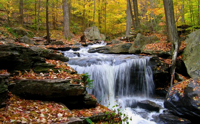 Waterfall in an autumn forest with fallen leaves