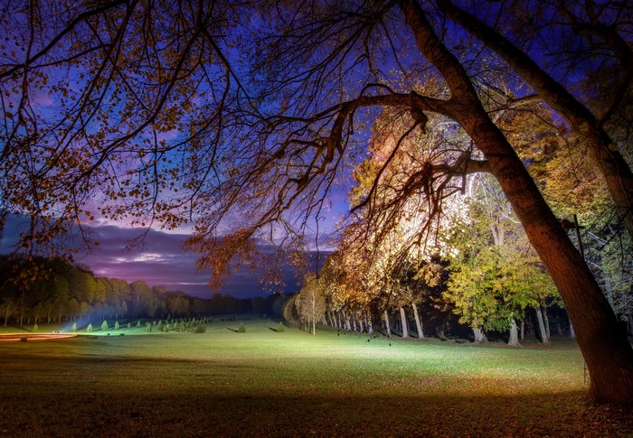 Park at night with illuminated trees and lawn