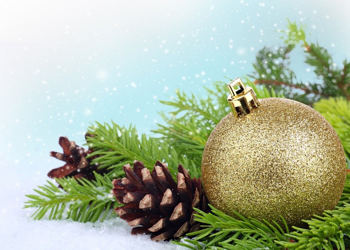 Christmas ornament and pine cones on branches with snow