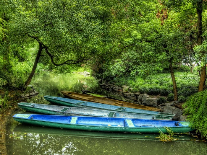 Boats docked on a tranquil canal surrounded by lush greenery