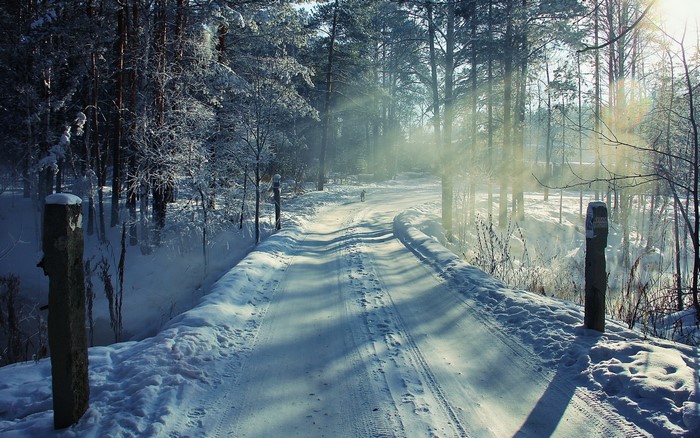 Snowy forest road with sunbeams