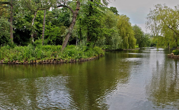 Park with a river and trees