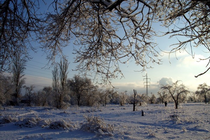 Winter landscape with ice-covered trees and snow