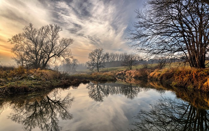 Bare trees reflected in a calm river during winter