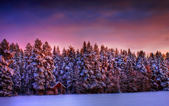Snowy forest with a small cabin at sunset
