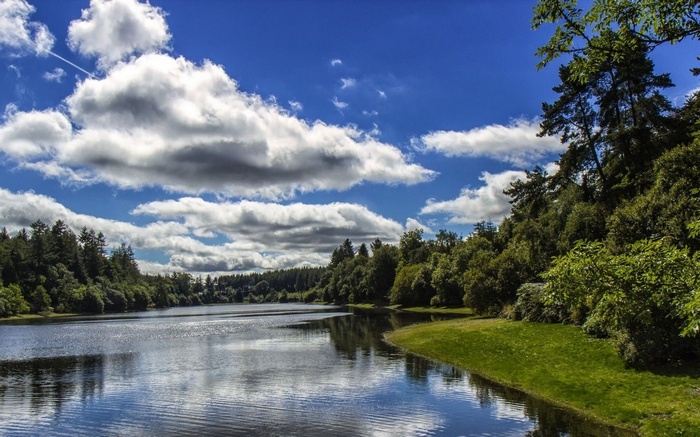 Lake surrounded by trees under a cloudy blue sky