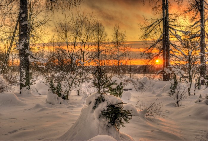 Winter sunset over a snowy landscape with trees