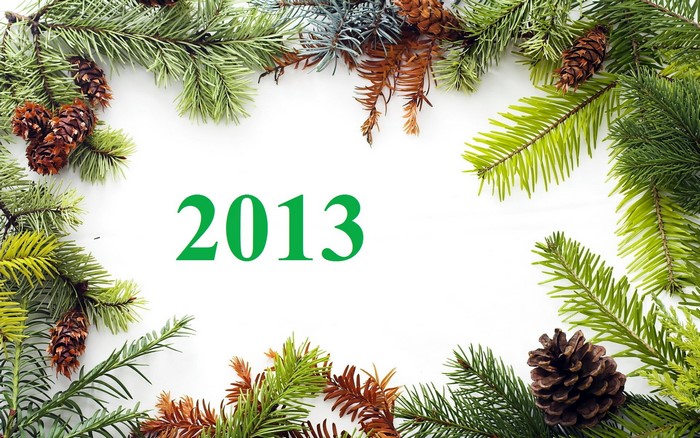 Christmas branches and pine cones with the year 2013