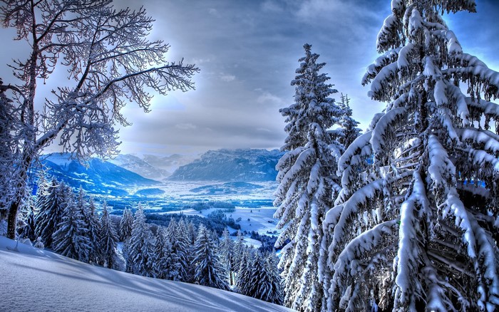 Snowy forest landscape with mountains and valley