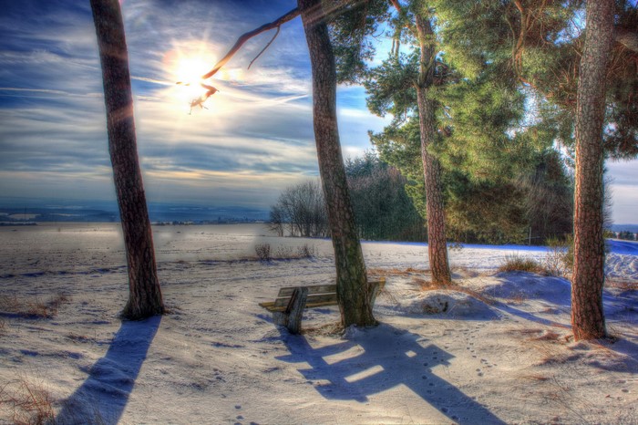 Winter landscape with sun rays and trees in Germany