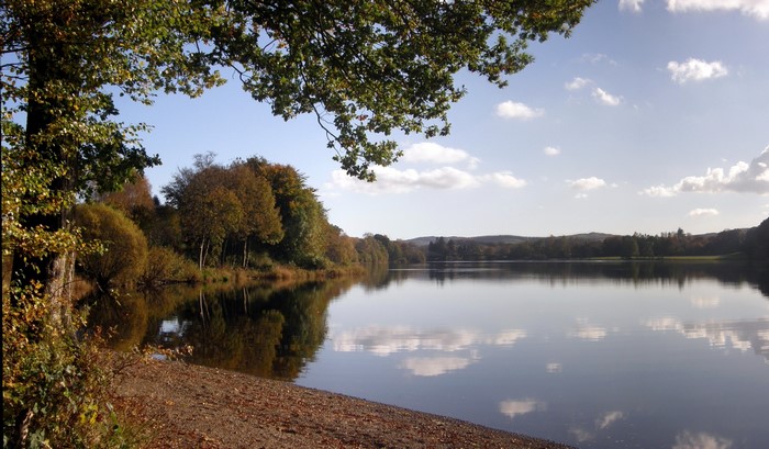 Lake with trees and clouds