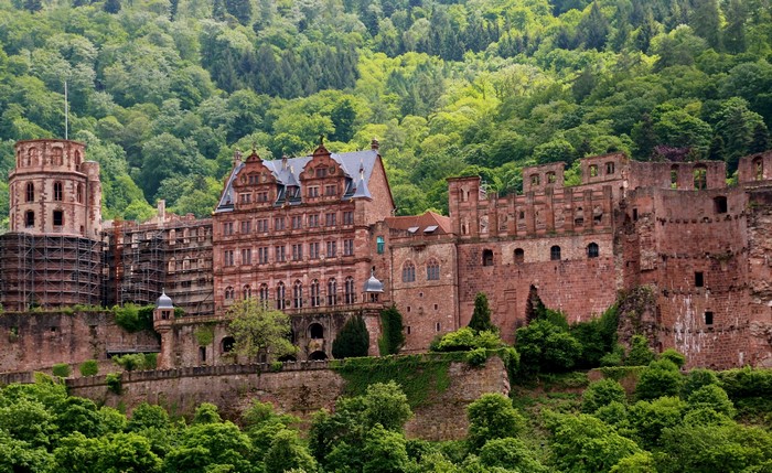 Heidelberg Castle ruins and forest in Germany