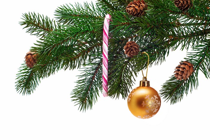 Christmas tree branch with ornaments and pine cones