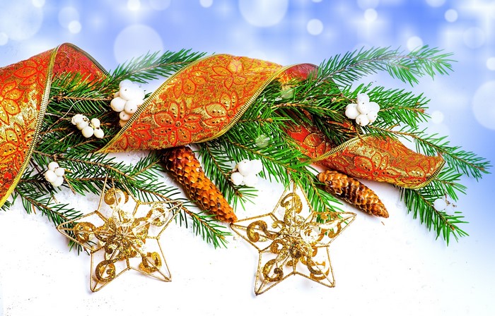 Christmas decoration with pine cones and ribbon