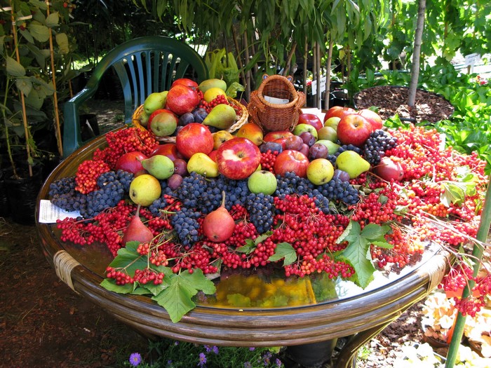 Fruit display with apples, pears, grapes, and berries
