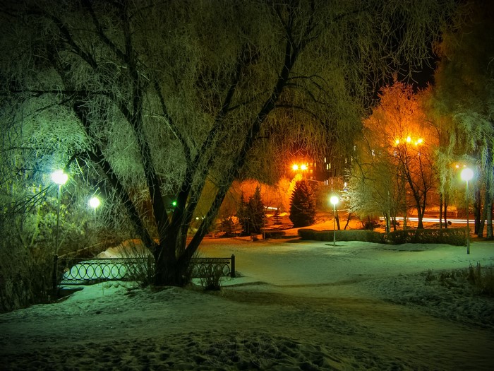 Winter park at night with streetlights and snow
