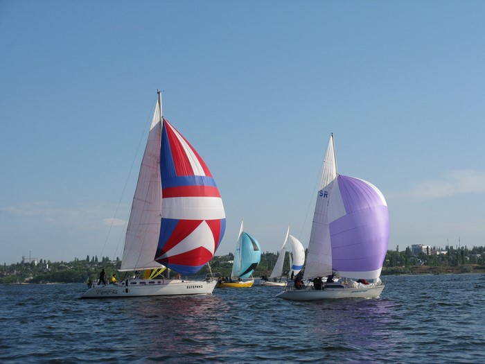 Sailboats racing on a sunny day
