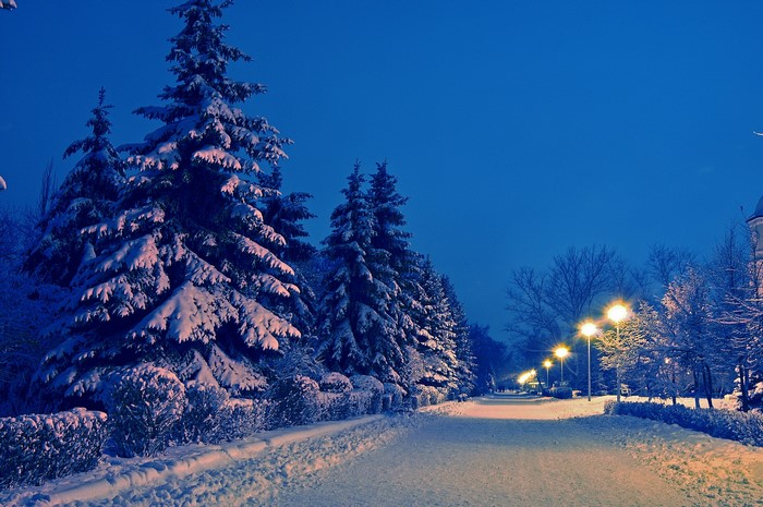 Snowy park path at night with streetlights