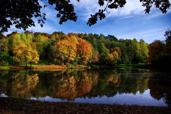 Autumn trees reflecting in a lake in Markučiai Park, Vilnius