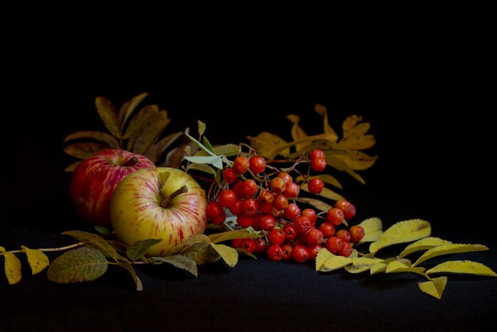 Still-life of apples and berries with leaves