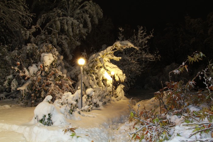 Snowy winter night with street lights