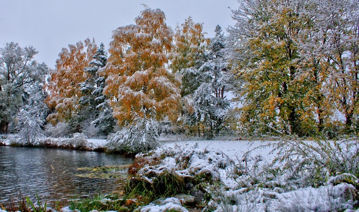Autumn trees covered in snow by a lake