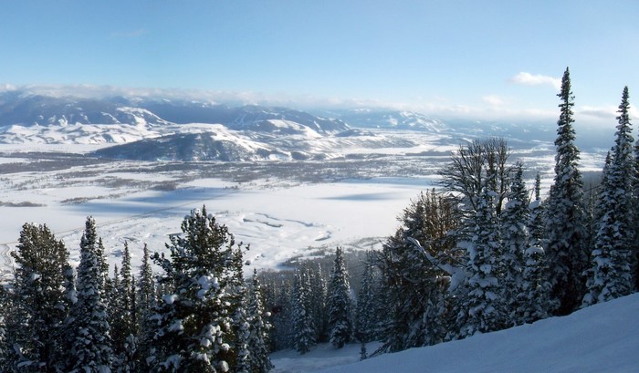 Snowy Mountains and Forest in Grand Teton National Park