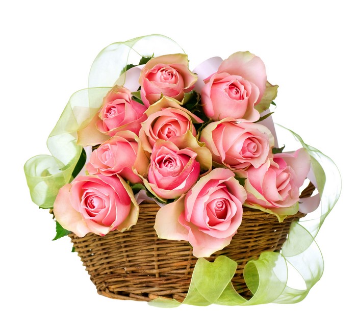 Basket of Pink Roses with Green Ribbon
