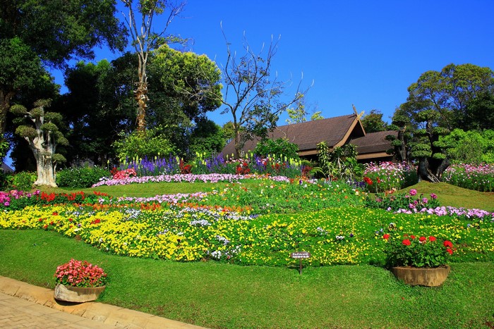 Beautiful garden with colorful flowers and a house