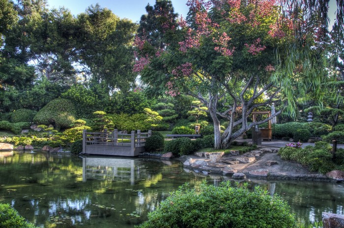 Earl Burns Miller Japanese Gardens Pond in California