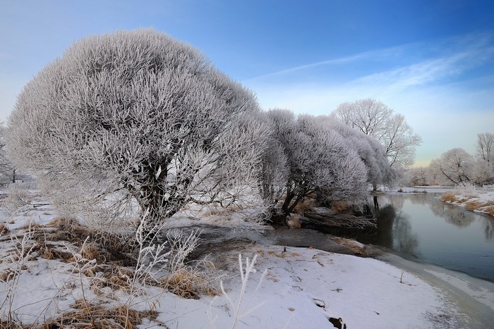 Winter landscape with frosted trees and a river