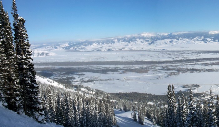Snowy Mountains and Trees in Grand Teton National Park, Wyoming