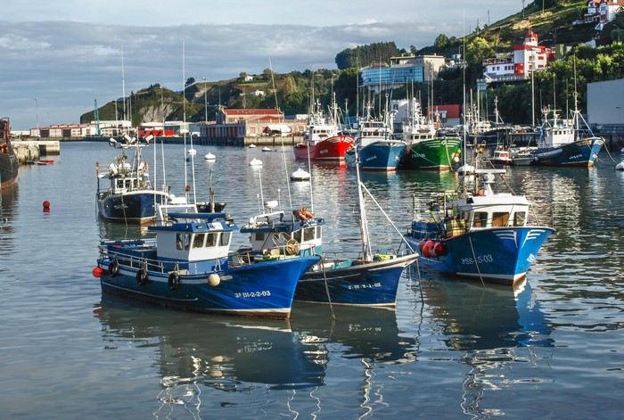 Fishing boats docked in a harbor