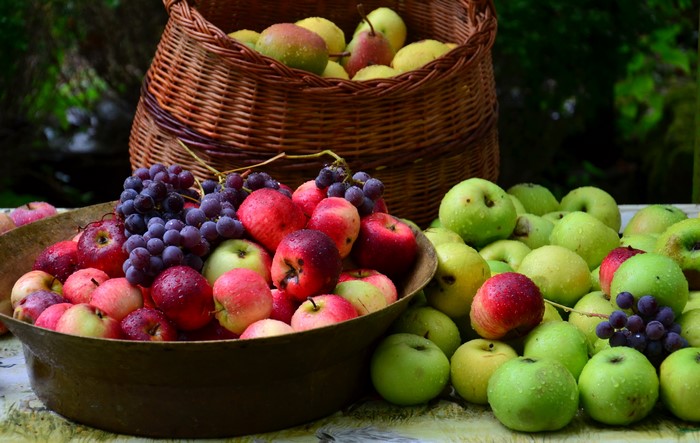 Apples and Grapes in a Wicker Basket