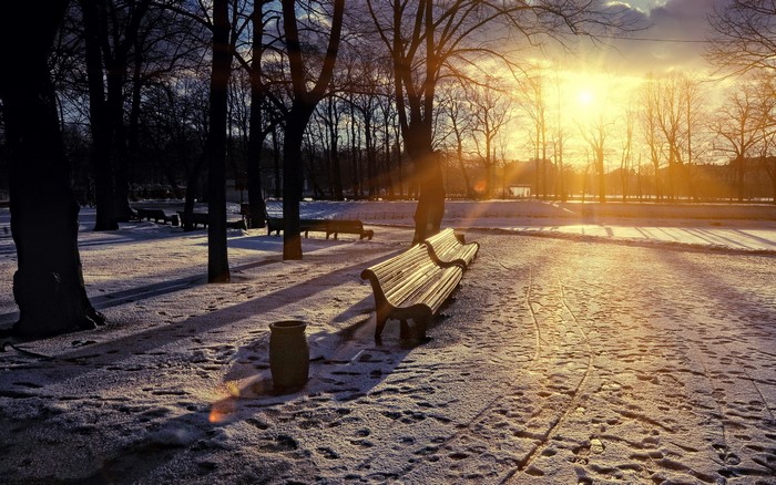 Winter park at sunset with snow and benches