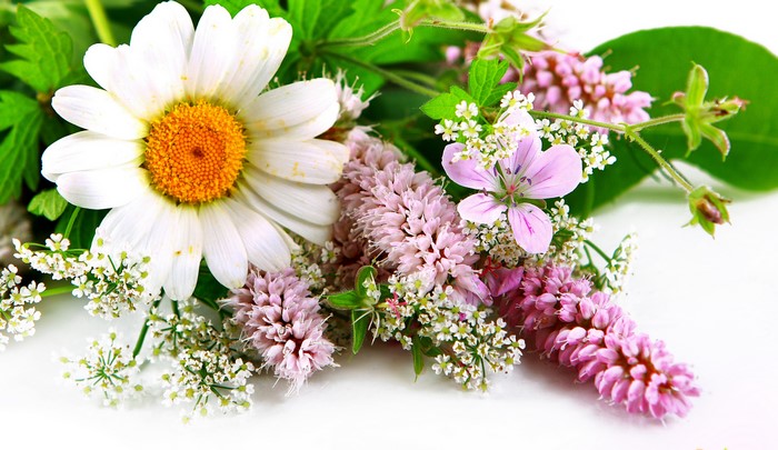 Bouquet of wildflowers with daisies and pink flowers