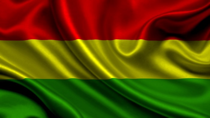 Bolivian flag with red, yellow, and green stripes