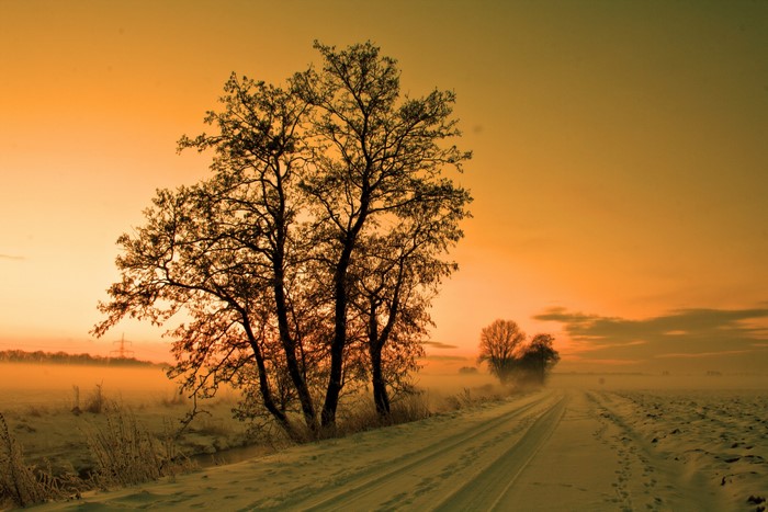 Winter road through snowy field with trees at sunset