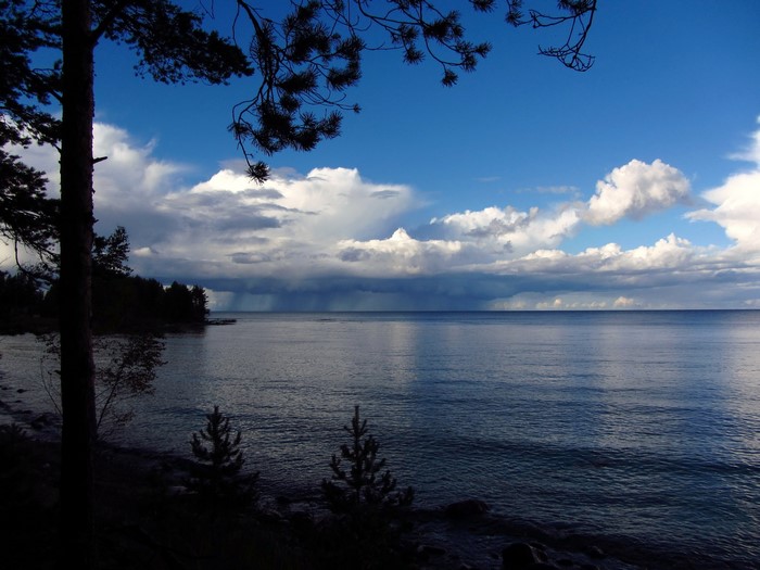 Lake with stormy clouds and trees