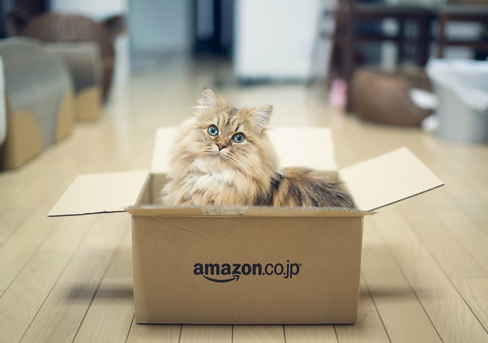 Fluffy cat sitting in an Amazon box