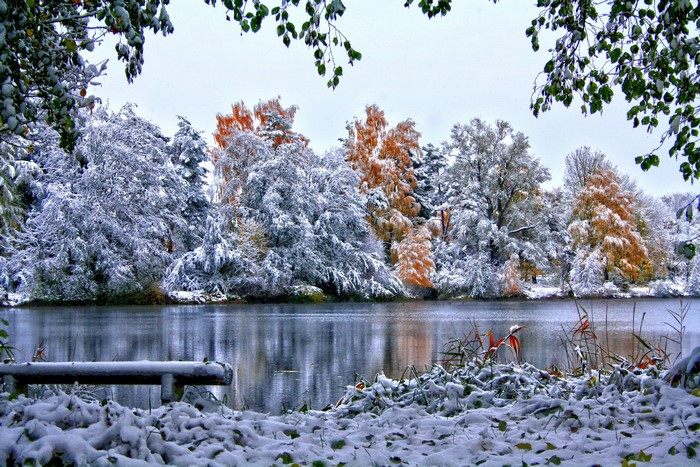Snow-covered trees by a river in autumn