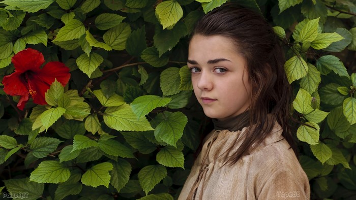 Maisie Williams in foliage with red hibiscus
