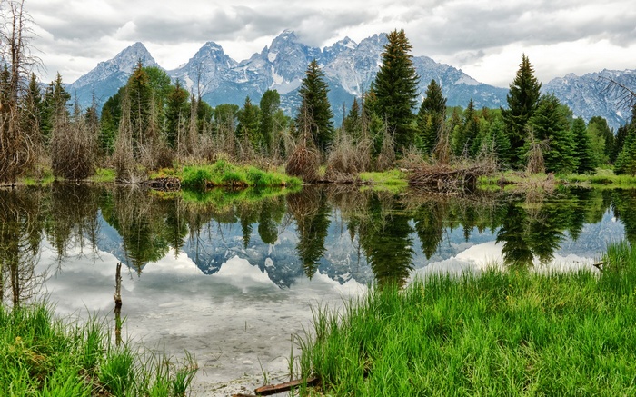 Mountains reflected in a calm lake with trees